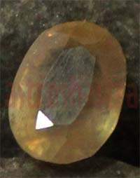No Image Found